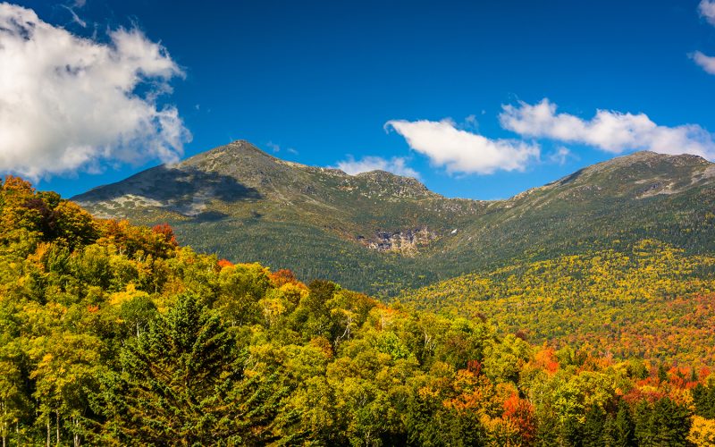 Fall’s Beautiful Foliage