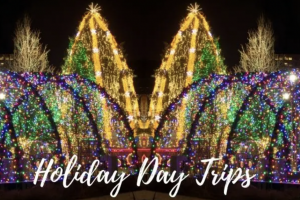 holiday day trips