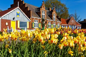 MI_Holland-WindmillIslandVillage_CreditCraigSterken_shutterstock_133741031--max600x600